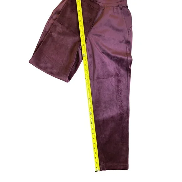 Lululemon Align Velvet Soft Jogger Pants Burgundy Xxs - Picture 5 of 12